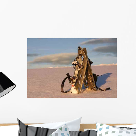 Snowshoeing Wall Decal