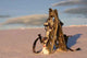 Snowshoeing Wall Decal