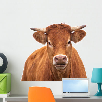 Portrait Dairy Cow Wall Decal shown on a wall