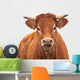 Portrait of a Cow Wall Decal