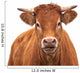 Portrait of a Cow Wall Decal