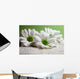 Water Drops on Daisies Wall Mural