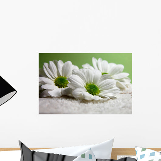 Water Drops on Daisies Wall Mural