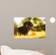 Portrait of rottweiler with ball on sunset Wall Mural