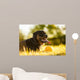 Portrait of rottweiler with ball on sunset Wall Mural