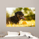 Portrait of rottweiler with ball on sunset Wall Mural