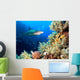 Underwater image of coral reef with shark and divers 