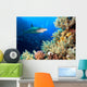 Underwater image of coral reef with shark and divers 
