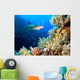 Underwater image of coral reef with shark and divers 