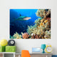 Underwater image of coral reef with shark and divers 