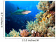 Underwater image of coral reef with shark and divers 