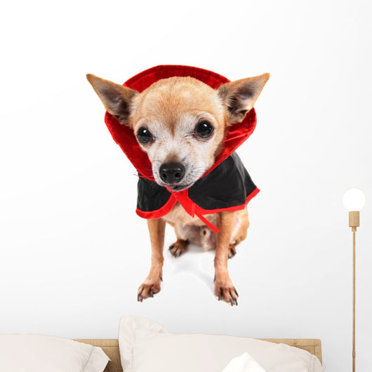 Cute Chihuahua Costume Wall Decal