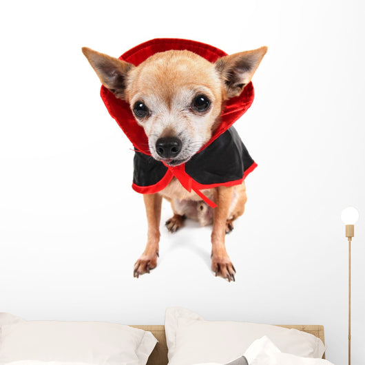 Cute Chihuahua Costume Wall Decal