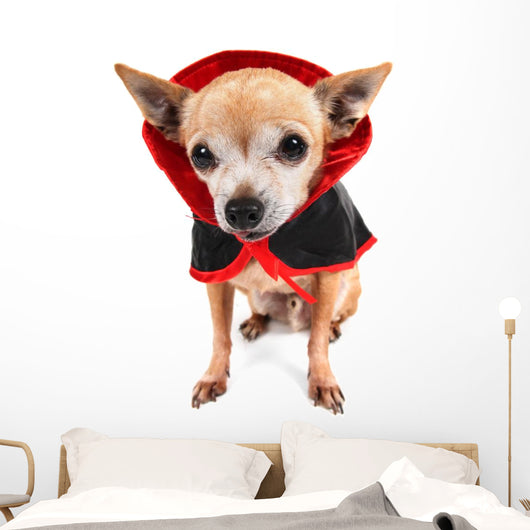 Cute Chihuahua Costume Wall Decal