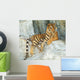 Southeast Asian Tiger Relaxin on a Cliff Wall Mural