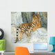 Southeast Asian Tiger Relaxin on a Cliff Wall Mural