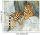 Southeast Asian Tiger Relaxin on a Cliff Wall Mural