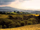 Pays Basque Countryside Pyrenees Wall Decal Design 2