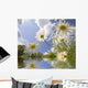 Looking up Trough Daisies Wall Decal