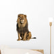 Sitting Photo-Realistic Lion Wall Decal
