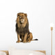 Sitting Photo-Realistic Lion Wall Decal