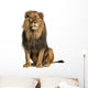 Sitting Photo-Realistic Lion Wall Decal