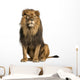 Sitting Photo-Realistic Lion Wall Decal
