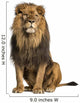 Sitting Photo-Realistic Lion Wall Decal