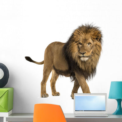 Side Lion Walking Wall Decal shown on a wall