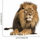 Front view of a Lion lying, Panthera Leo, 10 years old, isolated 