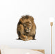 Front view of a Lion lying, crossing paws, Panthera Leo 