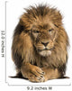 Front view of a Lion lying, crossing paws, Panthera Leo 