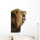 Close-up of a Lion roaring, isolated on white Wall Decal