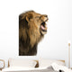 Close-up of a Lion roaring, isolated on white Wall Decal