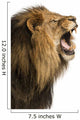 Close-up of a Lion roaring, isolated on white Wall Decal