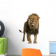 Lion Standing Looking at the Camera Wall Decal