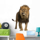 Lion Standing Looking at the Camera Wall Decal