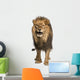 Front View of a Lion Roaring Wall Decal