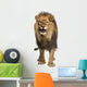 Front View of a Lion Roaring Wall Decal