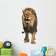 Front View of a Lion Roaring Wall Decal