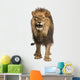 Front View of a Lion Roaring Wall Decal