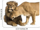 Lion and Lioness Cuddling, Panthera Leo, Isolated on White 