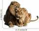 Lion and lioness cuddling, lying, Panthera leo, isolated Wall Decal