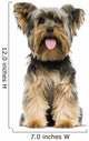 Front view of a Yorkshire Terrier sitting, panting, 9 months old 