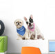 Shih Tzu and French Bulldog Puppy Wearing Bandana Sitting Wall Decal