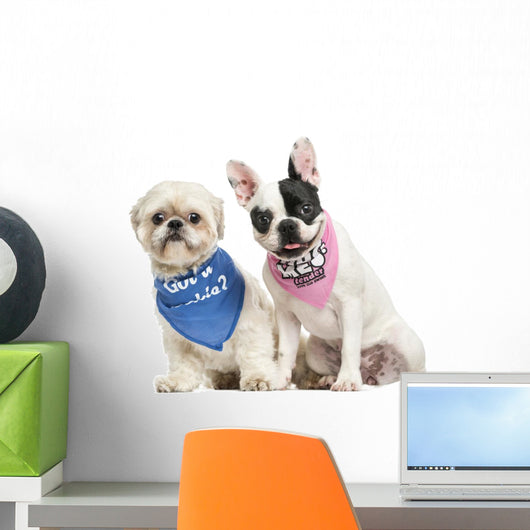 Shih Tzu and French Bulldog Puppy Wearing Bandana Sitting Wall Decal