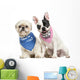 Shih Tzu and French Bulldog Puppy Wearing Bandana Sitting Wall Decal