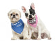 Shih Tzu and French Bulldog Puppy Wearing Bandana Sitting Wall Decal