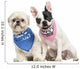 Shih Tzu and French Bulldog Puppy Wearing Bandana Sitting Wall Decal