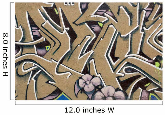 graffiti Wall Mural